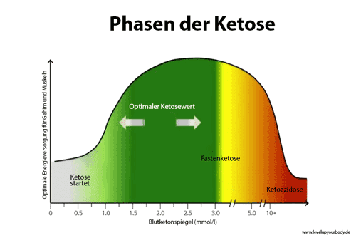 Phasen der Ketose welche Phasen gibt es Ketose und Ketoazidose